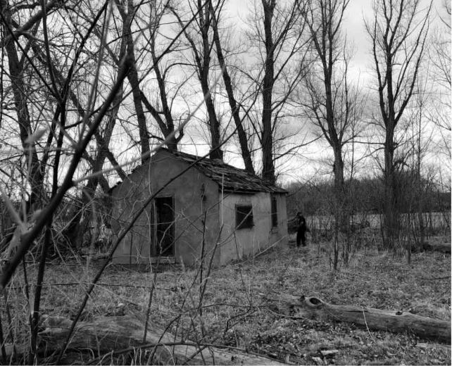 Homestead 3 Skinwalker